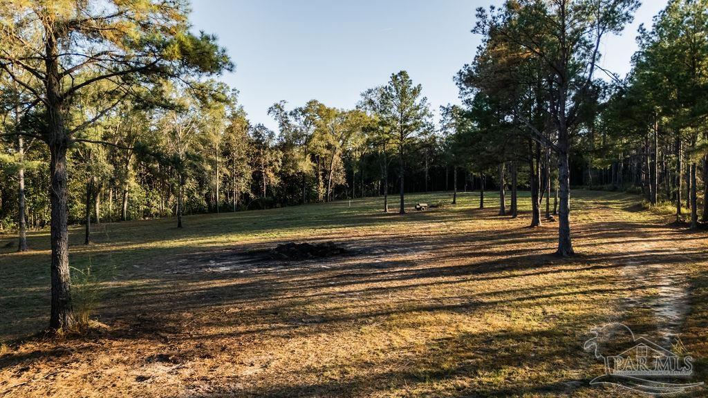 4875 Greenwood Road Jay, FL 32565 - Photo 15 of 28 a view of a yard
