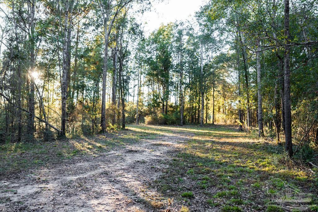 4875 Greenwood Road Jay, FL 32565 - Photo 18 of 28 a view of outdoor space with trees