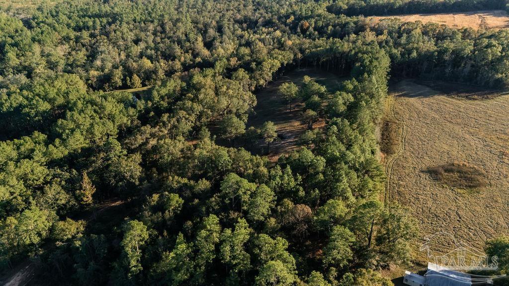 4875 Greenwood Road Jay, FL 32565 - Photo 2 of 28 a view of a tree