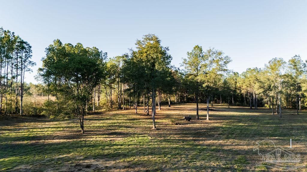 4875 Greenwood Road Jay, FL 32565 - Photo 21 of 28 a view of a park with large trees
