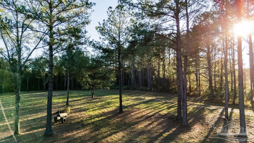 4875 Greenwood Road Jay, FL 32565 - Photo 22 of 28 a view of a park