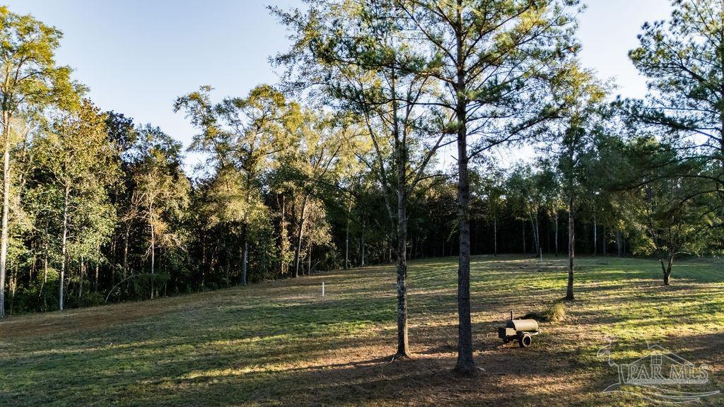 4875 Greenwood Road Jay, FL 32565 - Photo 24 of 28 a view of a park