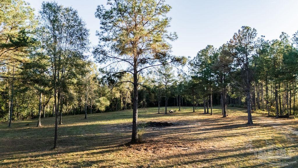 4875 Greenwood Road Jay, FL 32565 - Photo 25 of 28 a view of a yard