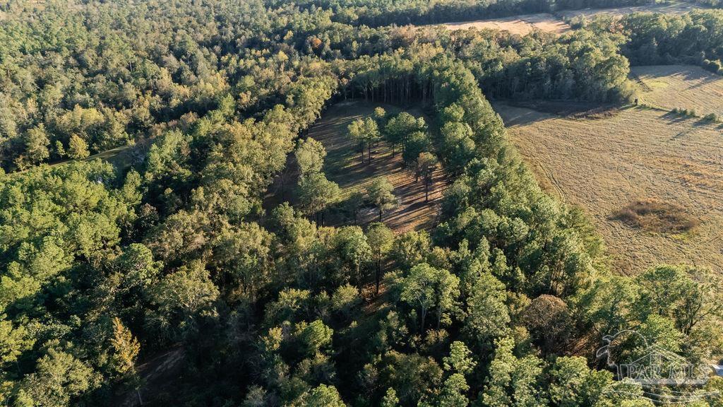 4875 Greenwood Road Jay, FL 32565 - Photo 27 of 28 a view of a tree