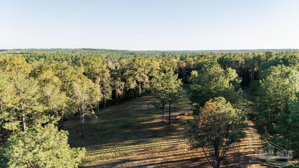 4875 Greenwood Road Jay, FL 32565 - Photo 28 of 28 a view of lake view