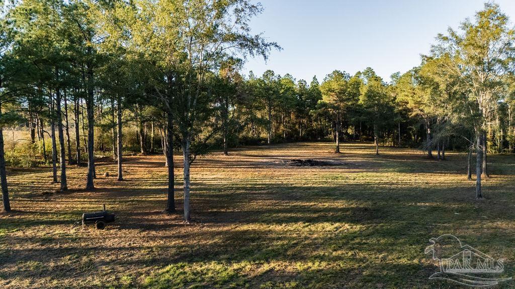 4875 Greenwood Road Jay, FL 32565 - Photo 4 of 28 a view of a yard with palm trees