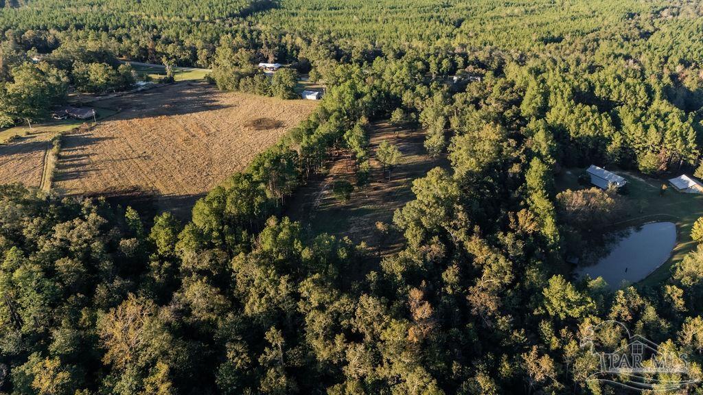 4875 Greenwood Road Jay, FL 32565 - Photo 5 of 28 a view of outdoor space and street view