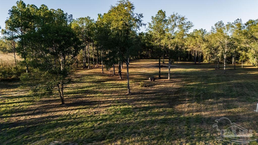 4875 Greenwood Road Jay, FL 32565 - Photo 8 of 28 a view of park on side of a road
