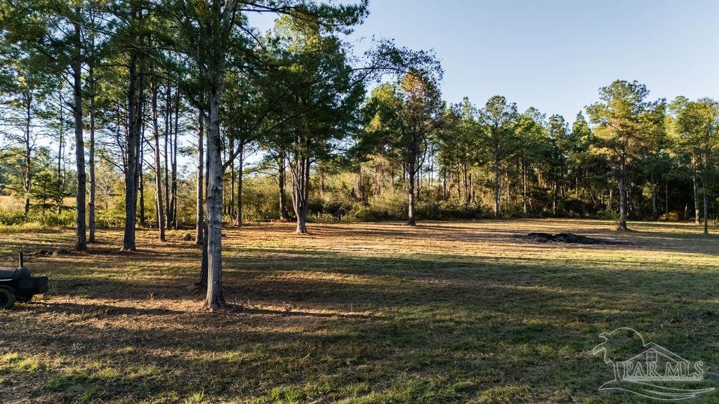 4875 Greenwood Road Jay, FL 32565 - Photo 9 of 28 a view of street space