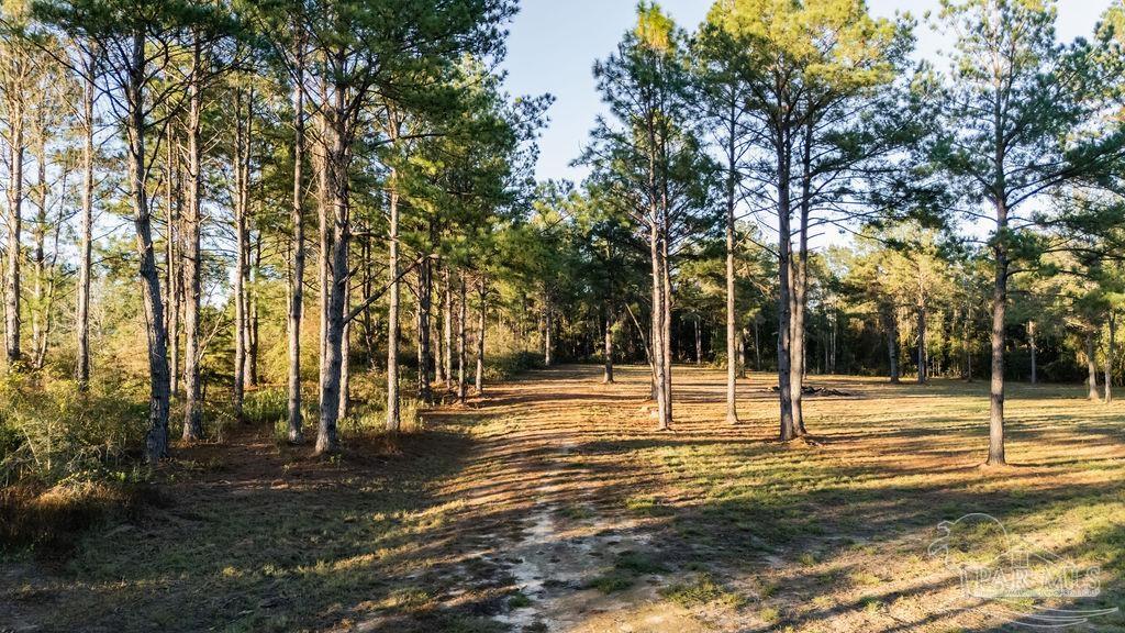 4875 Greenwood Road Jay, FL 32565 - Photo 10 of 28 a view of yard