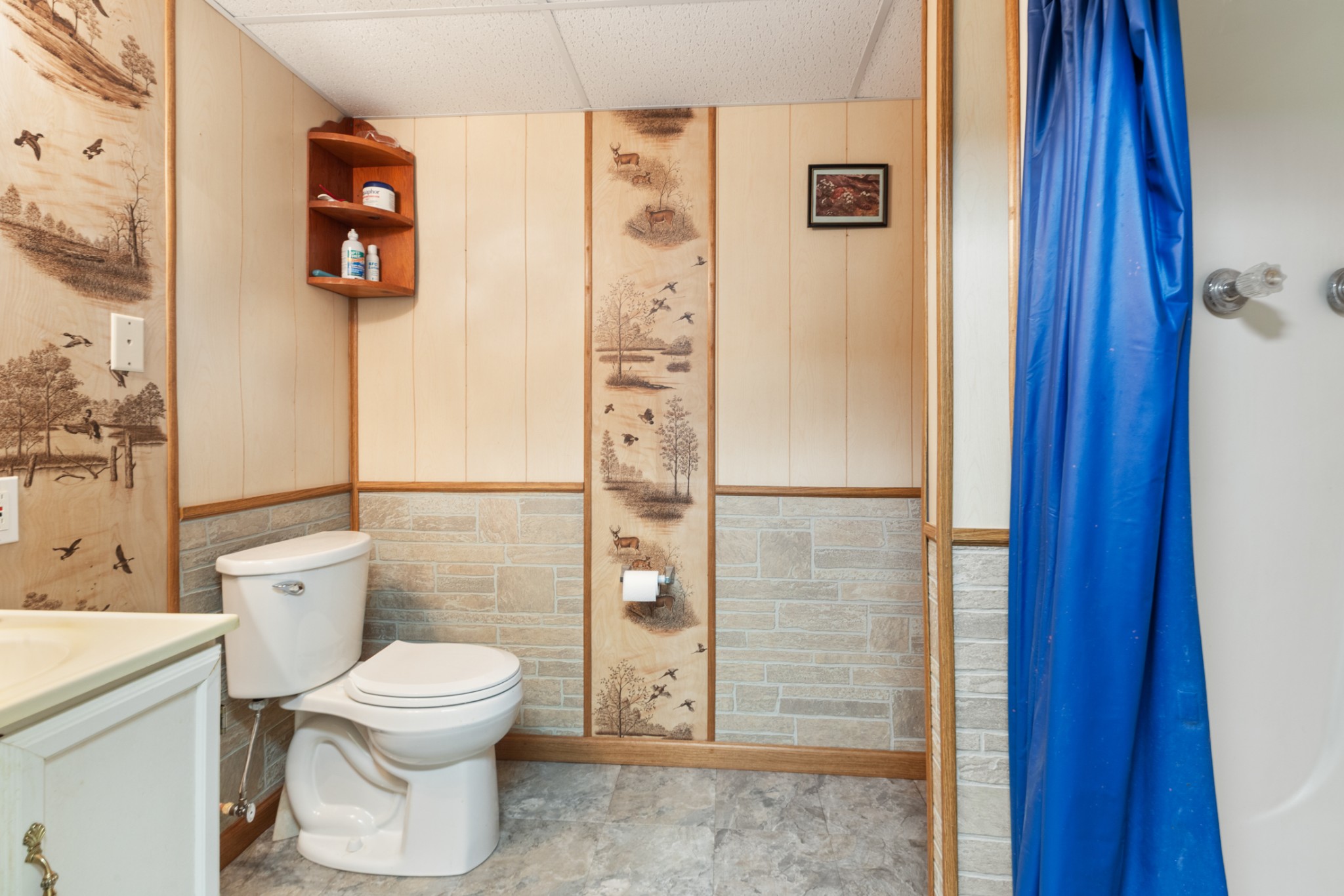 7422 Indian Creek Road McEwen, TN 37101 - Photo 56 of 71 a bathroom with a toilet and a shower