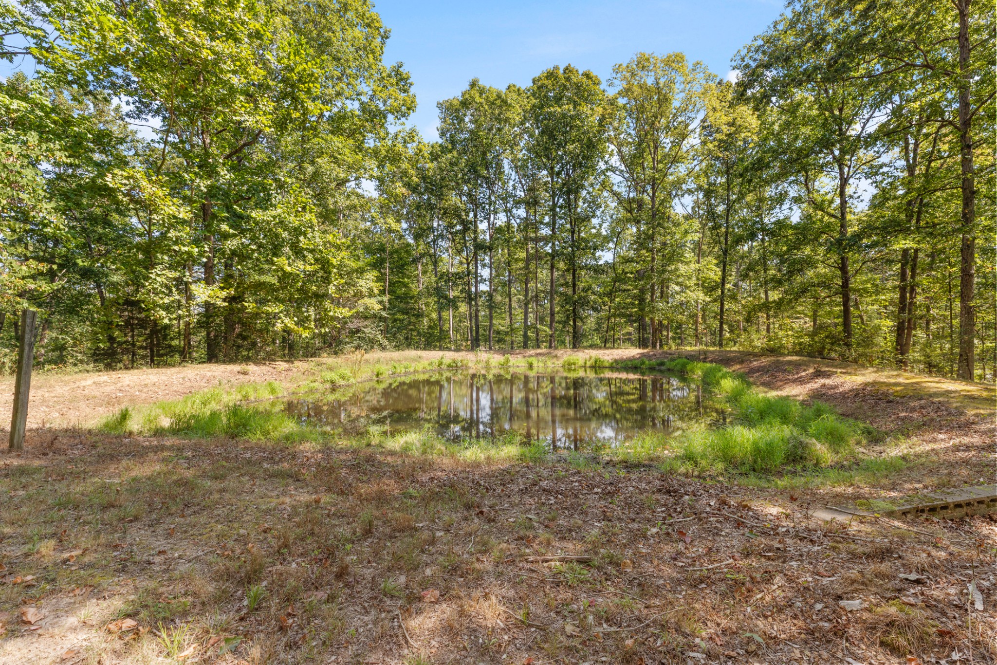 7422 Indian Creek Road McEwen, TN 37101 - Photo 66 of 71 a view of backyard with green space