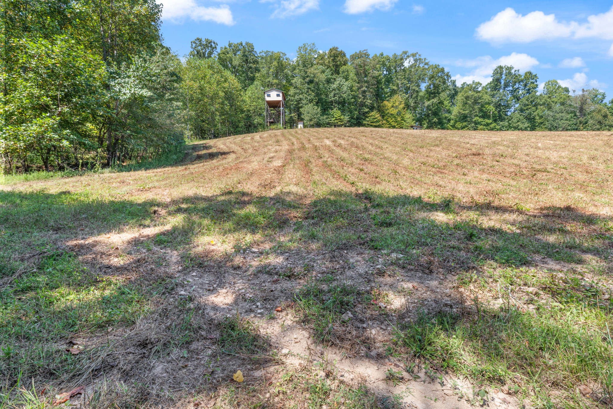 7422 Indian Creek Road McEwen, TN 37101 - Photo 68 of 71 a view of a yard with a tree