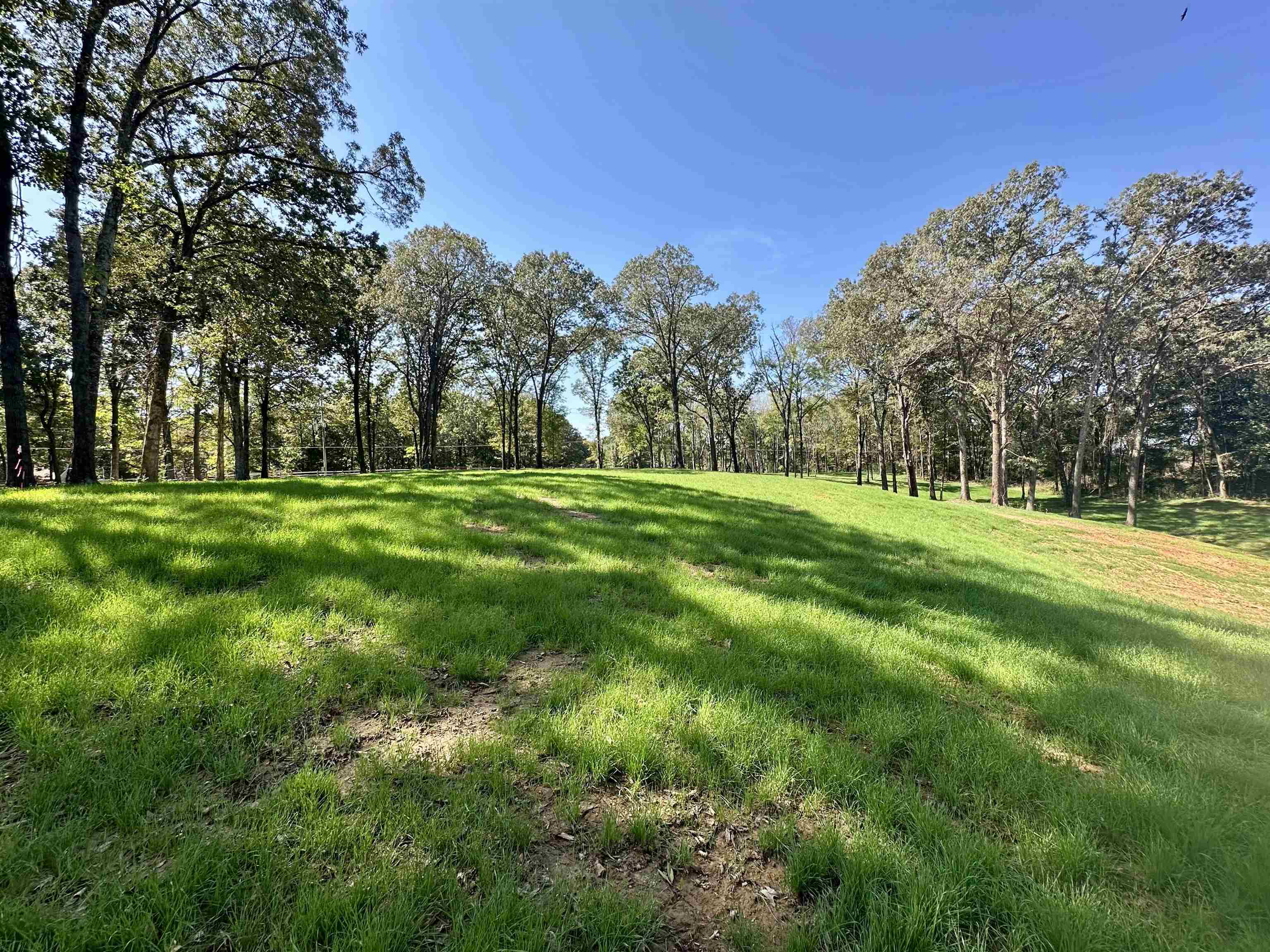 2 Dogwood Road Somerville, TN 38068 - Photo 1 of 10 a grassy field with trees in the background