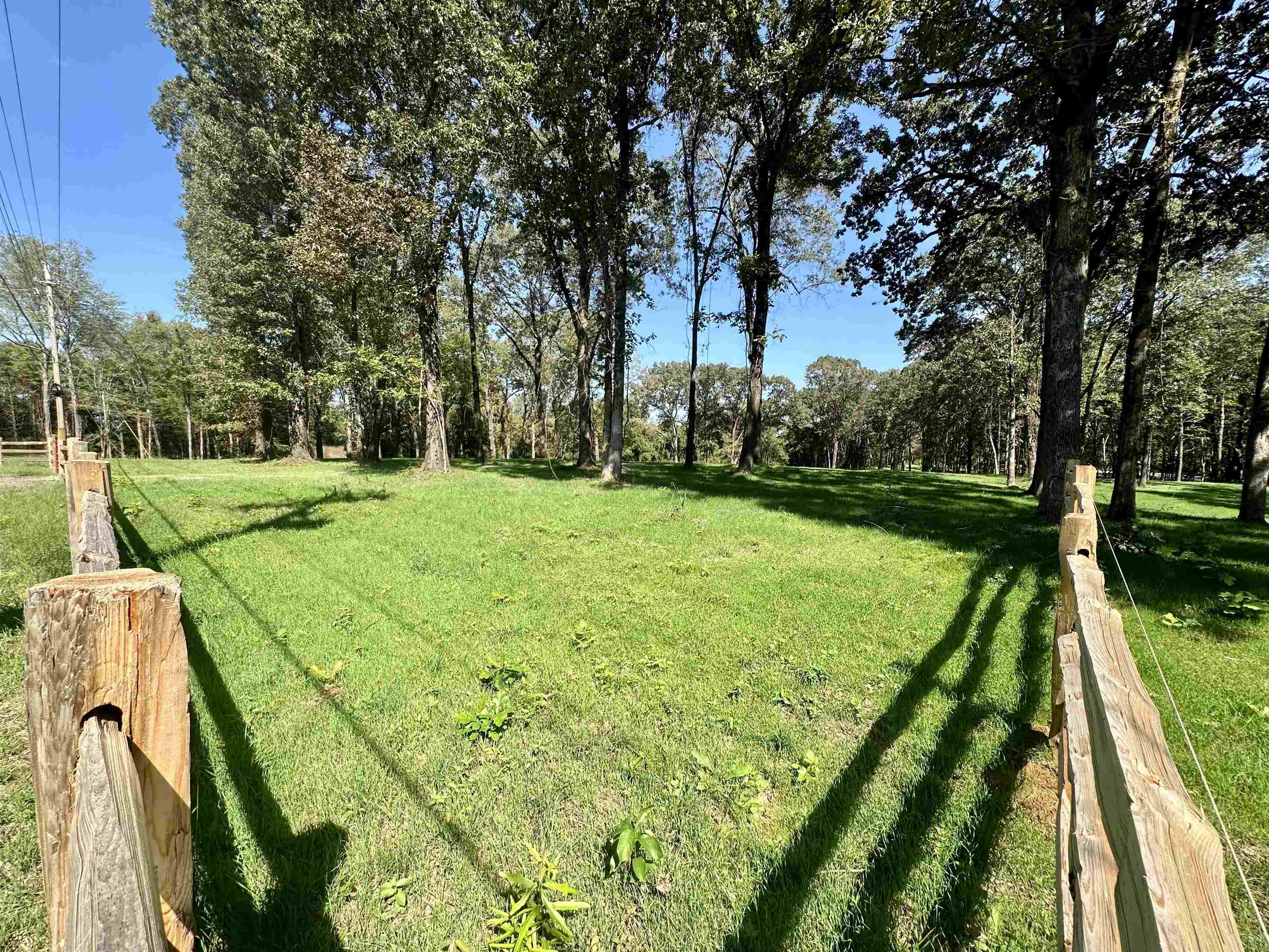 2 Dogwood Road Somerville, TN 38068 - Photo 3 of 10 a view of a golf ground with large trees