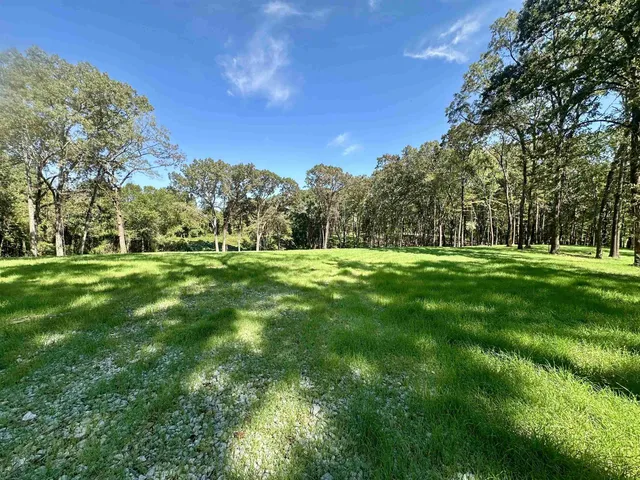 a grassy field with trees in the background