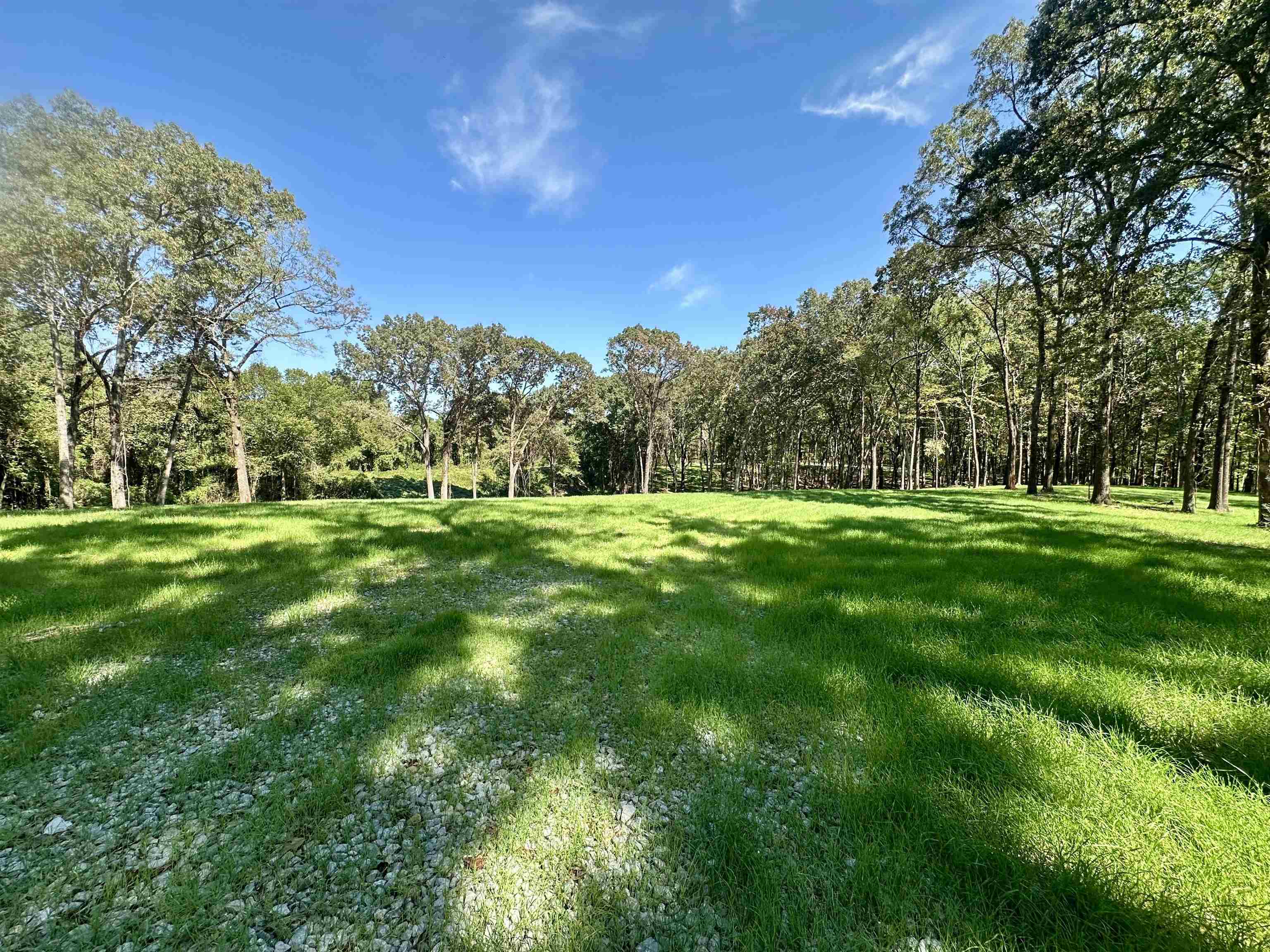 2 Dogwood Road Somerville, TN 38068 - Photo 4 of 10 a grassy field with trees in the background