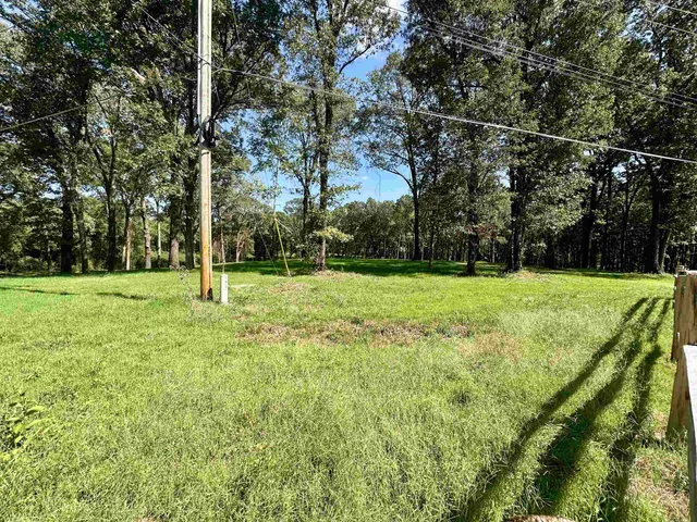 a view of a park with large trees