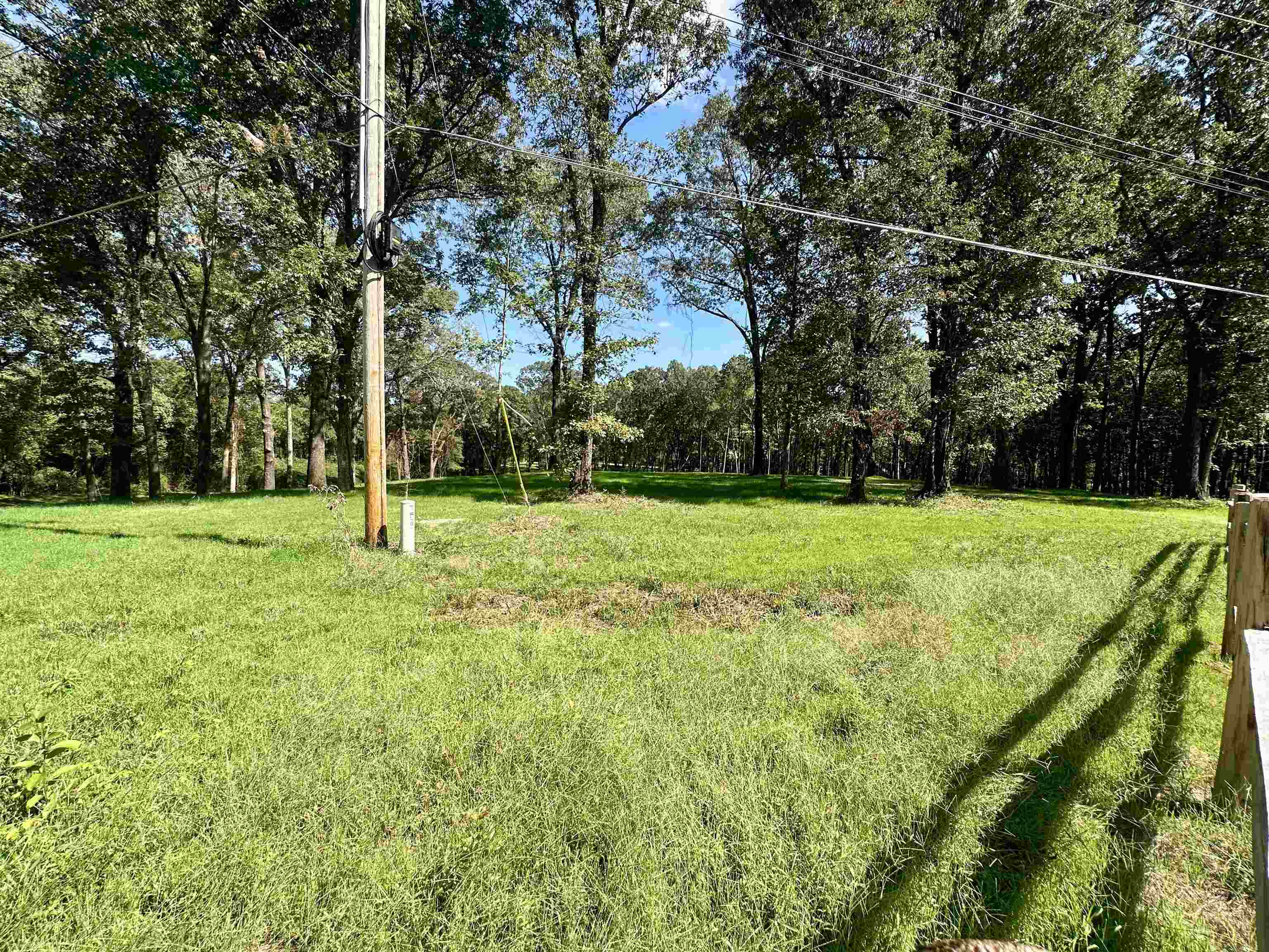 2 Dogwood Road Somerville, TN 38068 - Photo 7 of 10 a view of a park with large trees