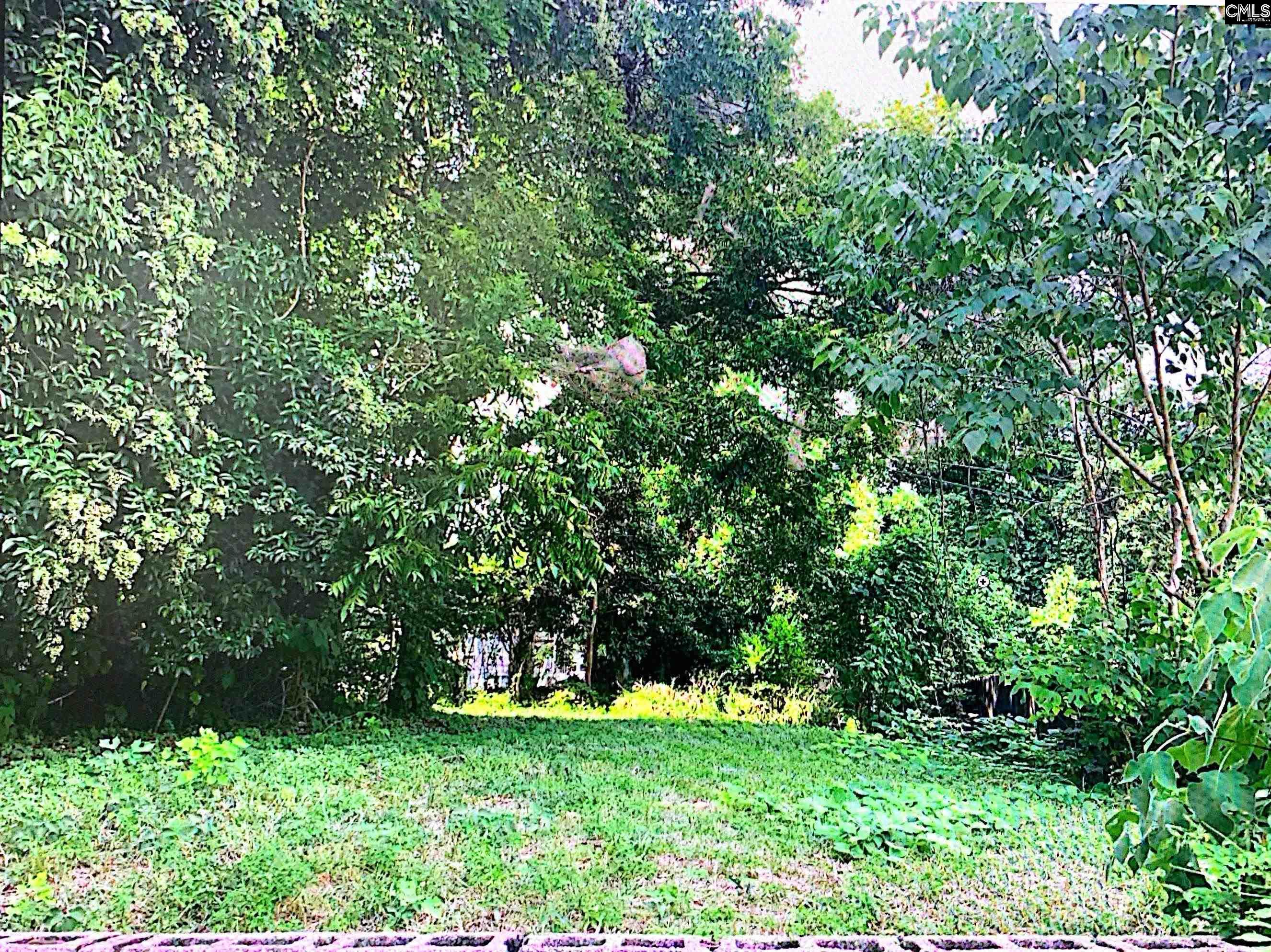 2313 Greene Street Columbia, SC 29205 - Photo 5 of 5