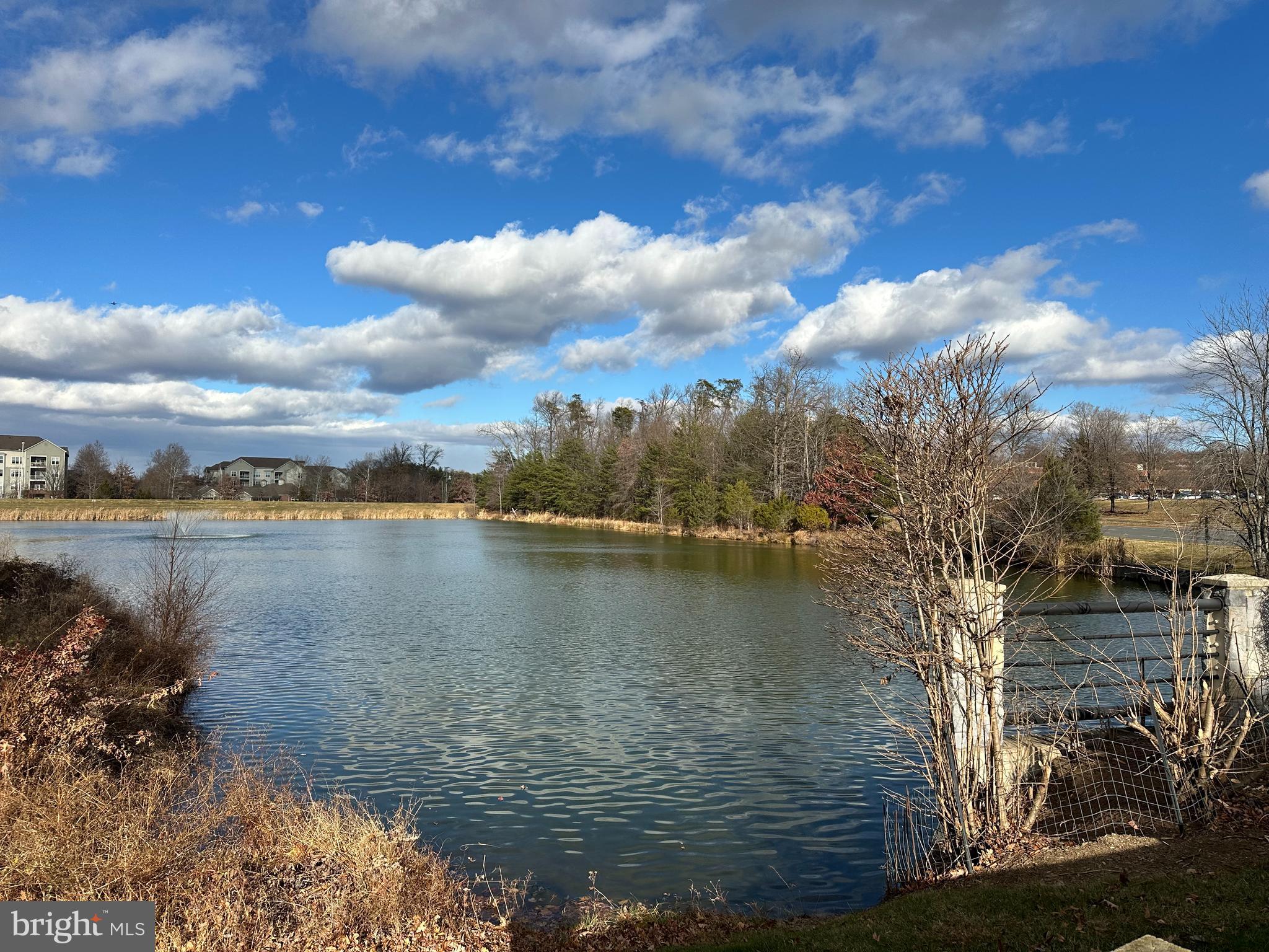 1708 Lake Shore Crest Drive Reston, VA 20190 - Photo 25 of 25 View of pond