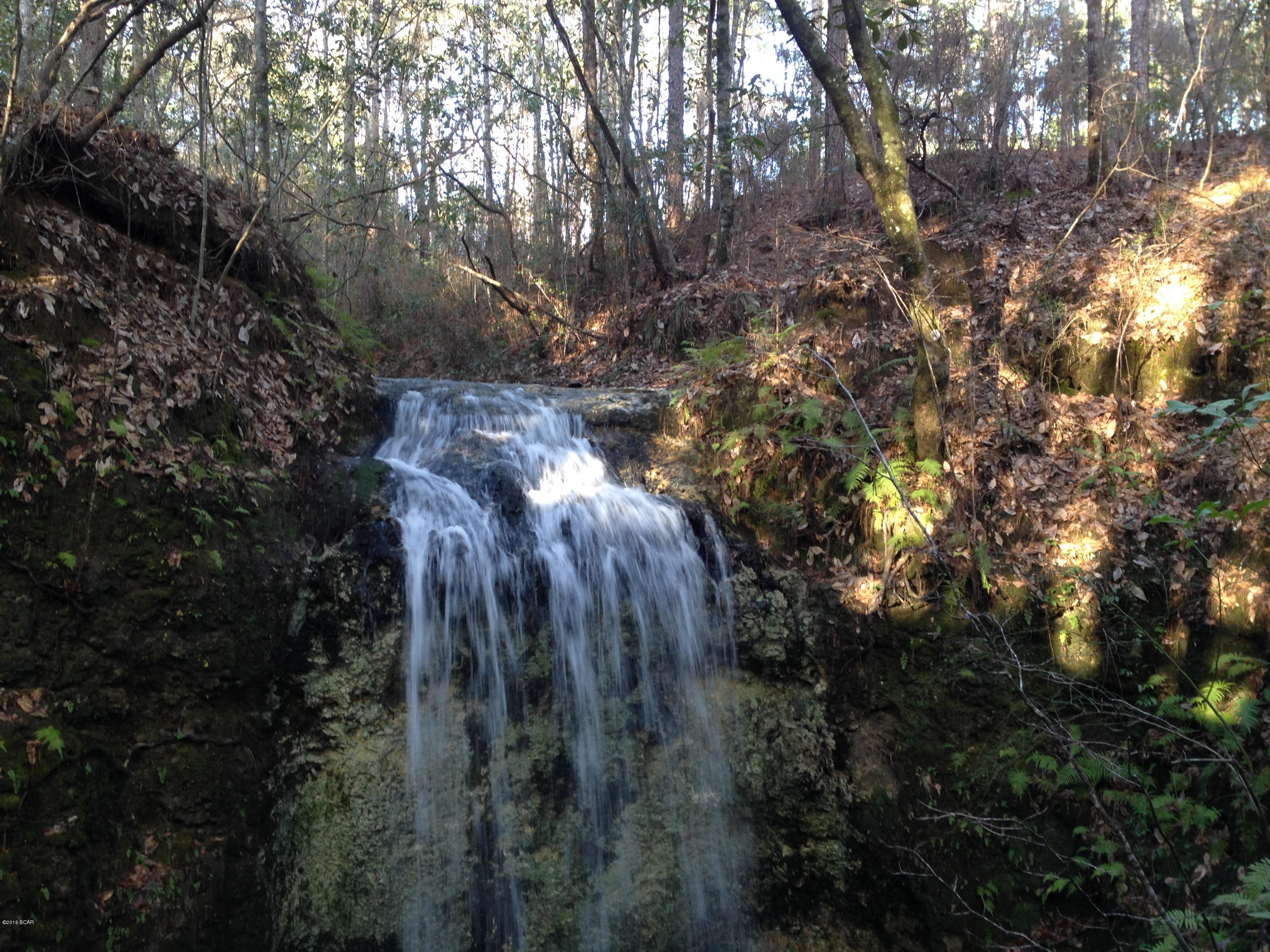 Xxxx Falling Waters Road Chipley, FL 32428 - Photo 14 of 16