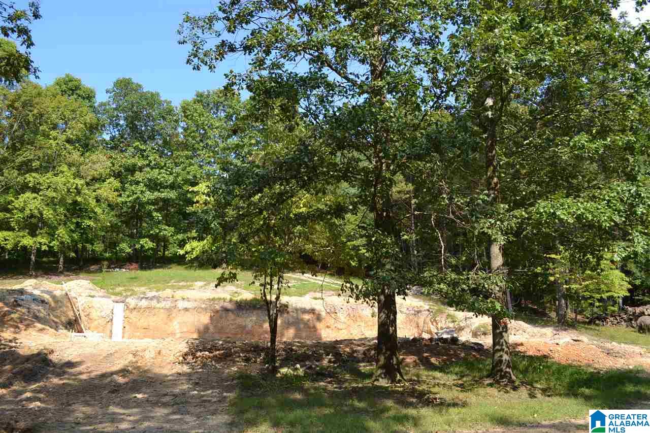 6 Pawnee Drive Pelham, AL 35124 - Photo 9 of 14
