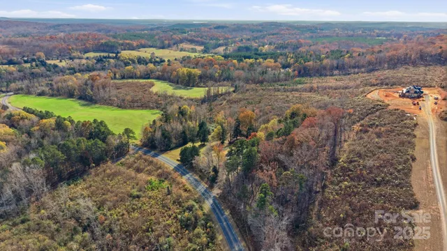 a view of a garden with mountains in the background