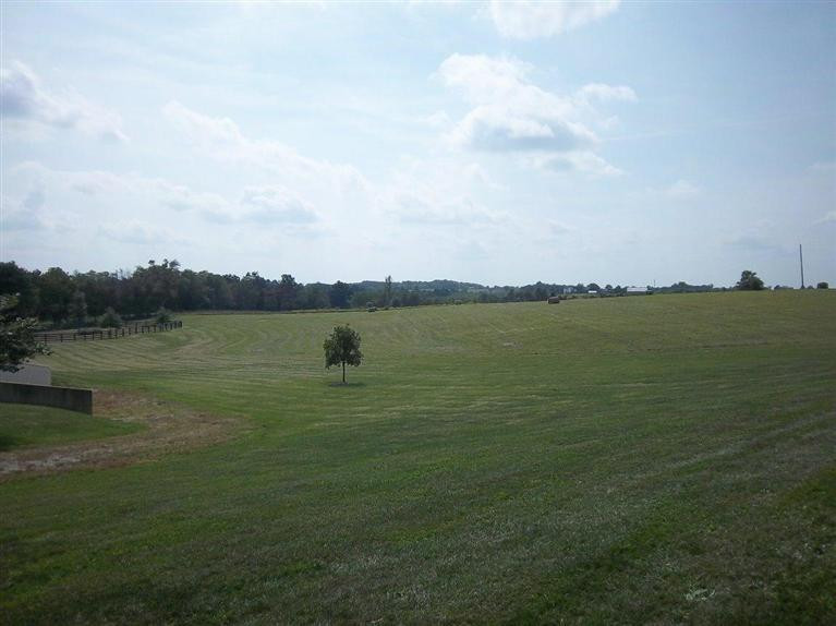 1005 Waits Road Cynthiana, KY 41031 - Photo 15 of 33 Photo 15