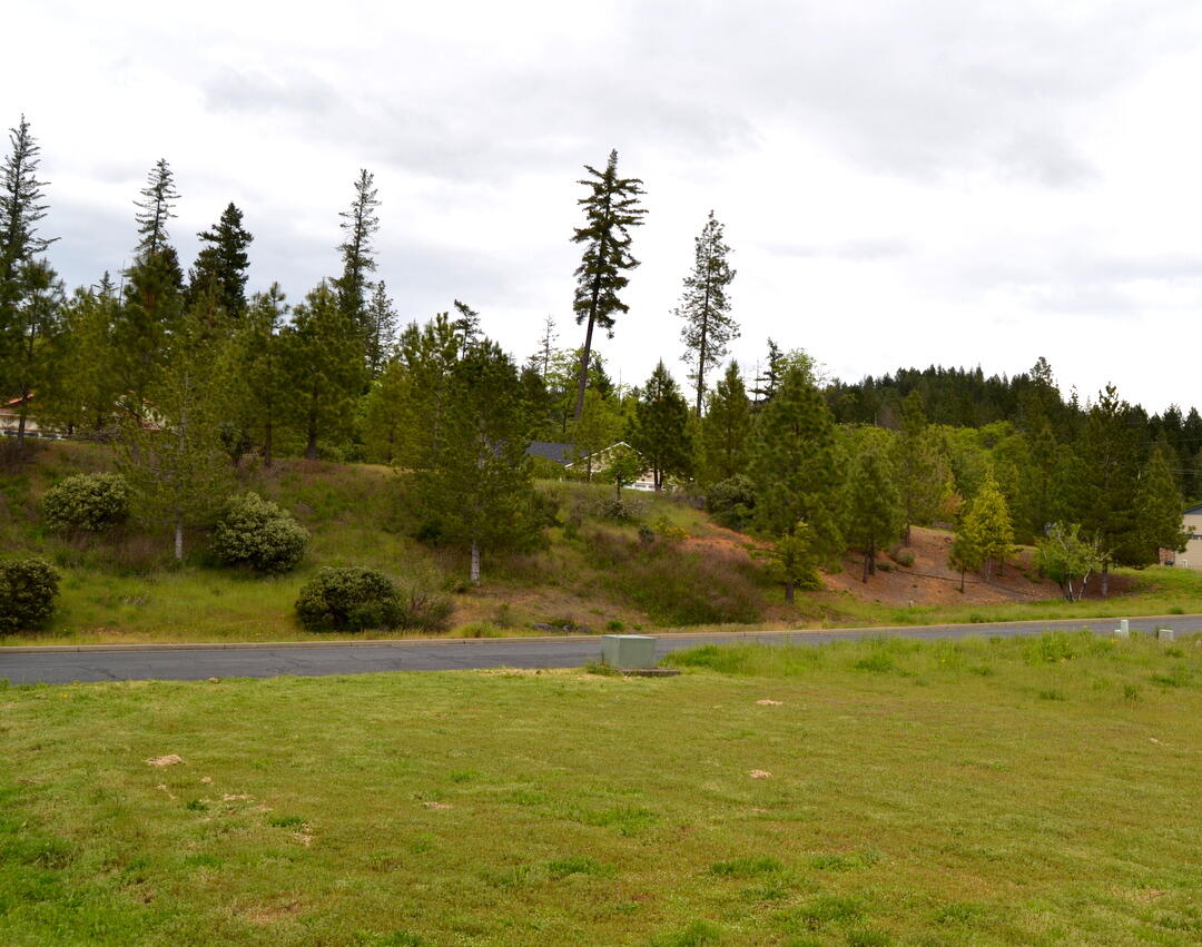 233 Red Cedar Lane Cave Junction, OR 97523 - Photo 1 of 27 DSC_8508-002