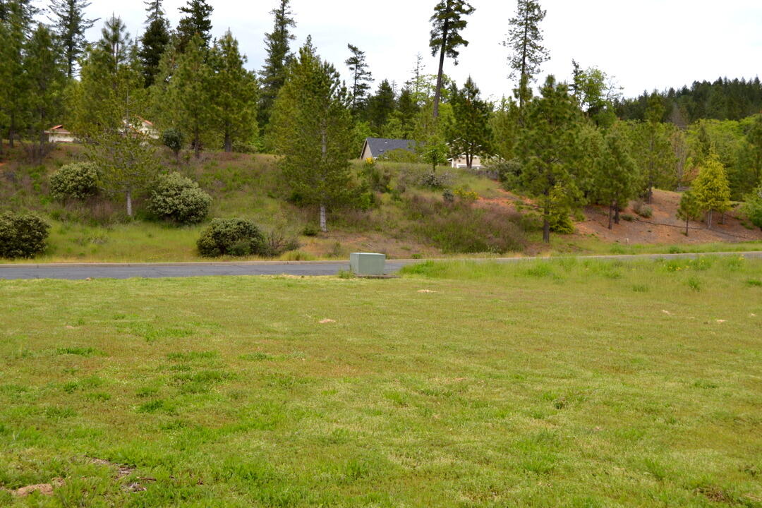 233 Red Cedar Lane Cave Junction, OR 97523 - Photo 4 of 27 DSC_8509-001