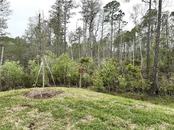 $3,500 | 6 Blue Grotto Place, Palm Coast, FL 32137