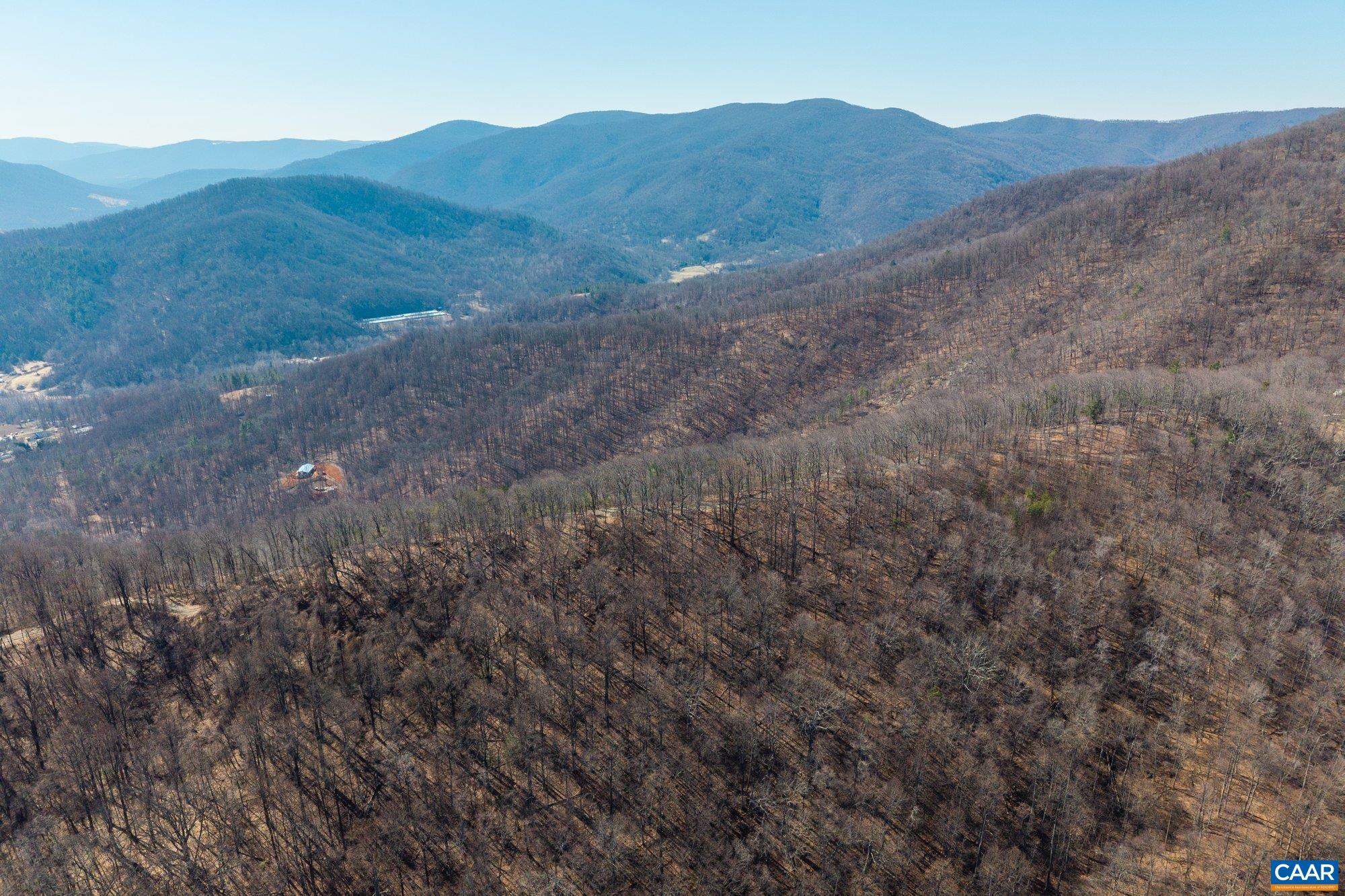 1376 D Wyatt Mountain Road Dyke, VA 22935 - Photo 3 of 9