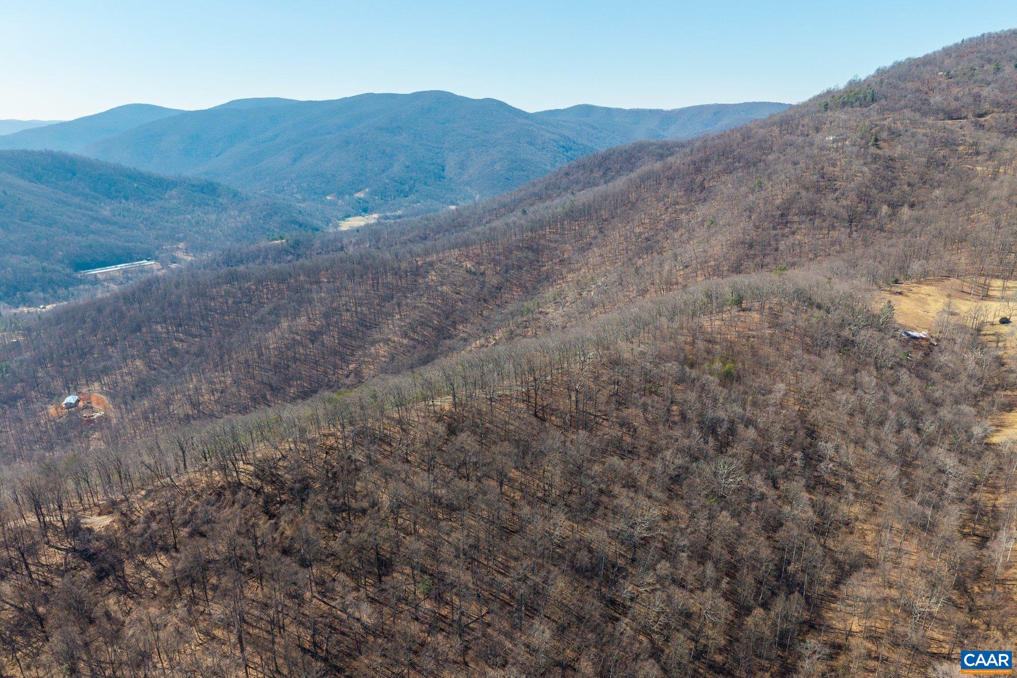 1376 D Wyatt Mountain Road Dyke, VA 22935 - Photo 4 of 9