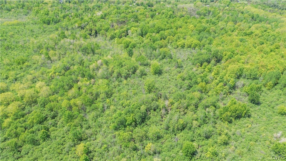 11 Us Route Watertown, NY 13601 - Photo 13 of 27 Gallery Image 13