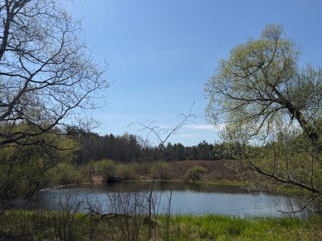 0 Palmer Road Whitefield, ME 04353 - Photo 4 of 7 Pond