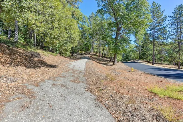 an aerial view of residential house with outdoor space and trees all around