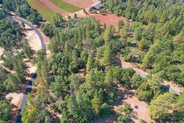 a view of a house with a tree