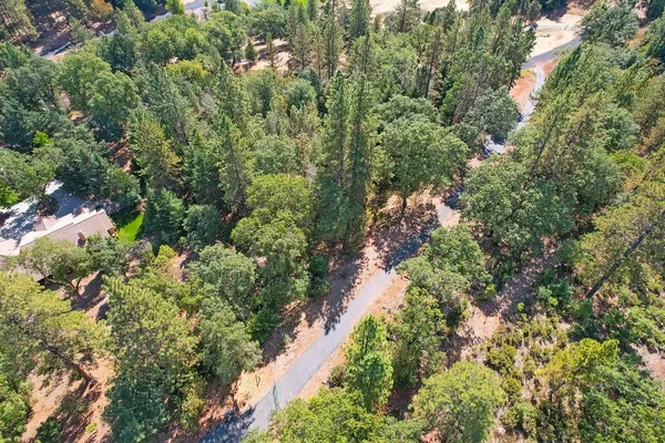 a view of a garden with plants