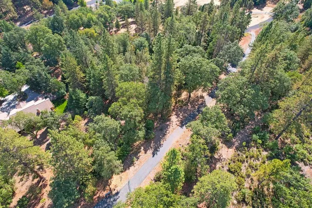 a view of a garden with plants