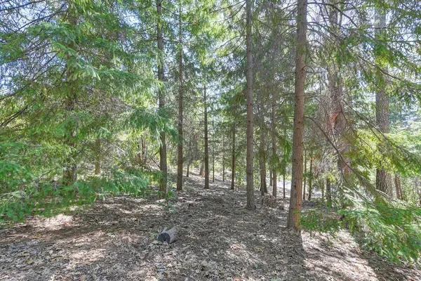 a view of outdoor space and trees
