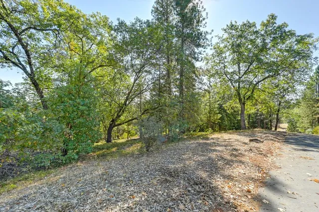 a view of a yard with large trees
