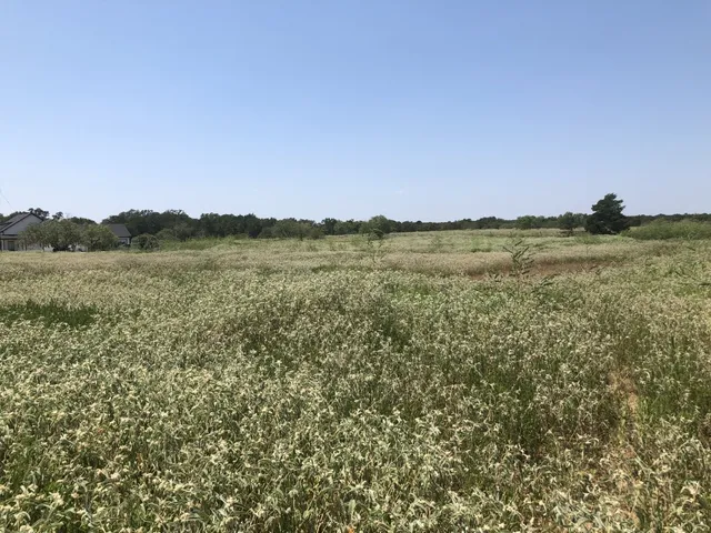 a view of a lake with a yard