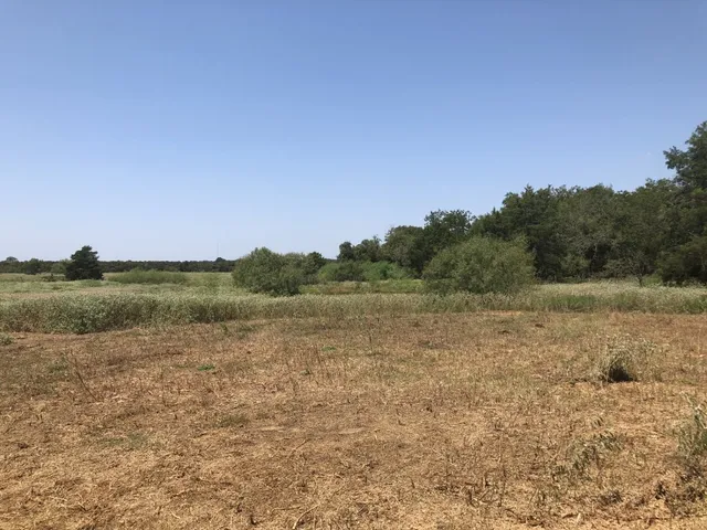 $795,000 | 2990 Highway 304, Rosanky, TX 78953