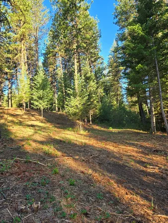 $80,000 | Tbd Sorrel Drive, Unit 15, New Meadows, ID 83654