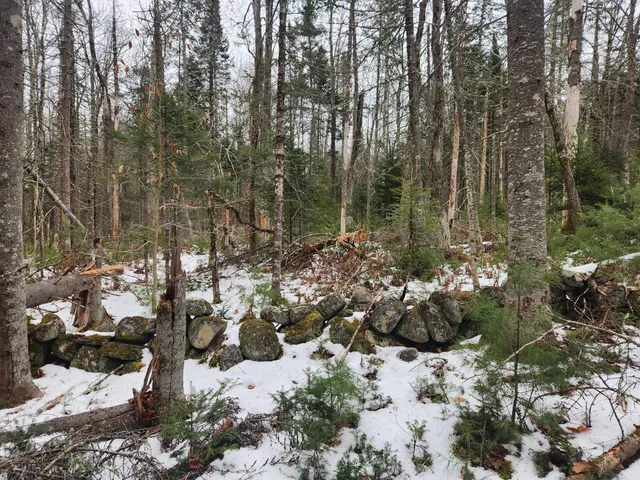 $35,000 | 13 Back Bryant Road, Buckfield, ME 04220