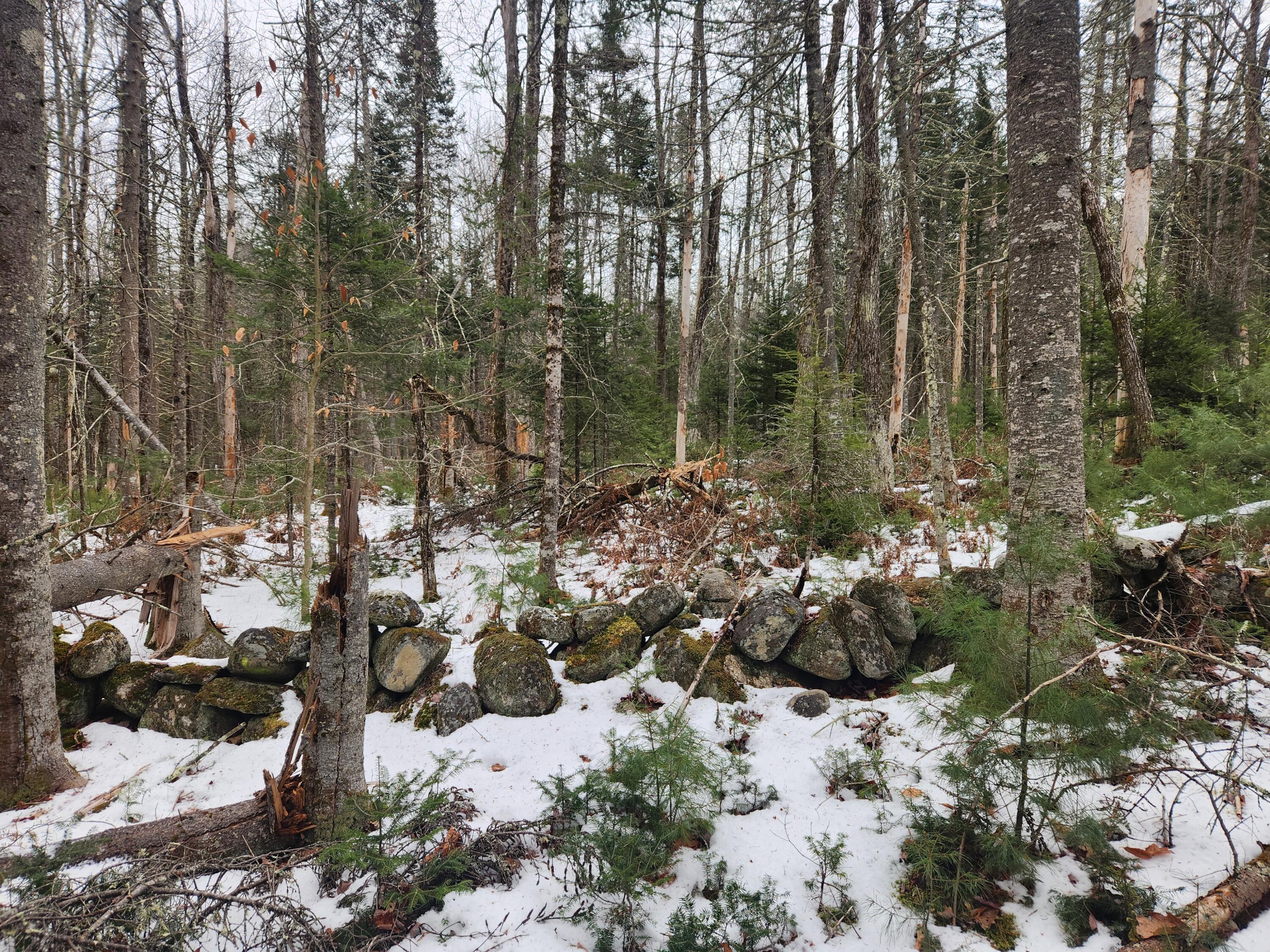 18 Back Bryant Road Buckfield, ME 04220 - Photo 11 of 19 20251223_105028