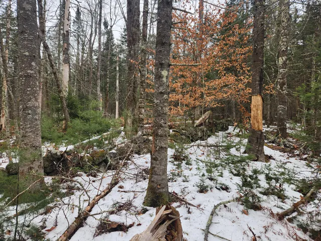 $35,000 | 13 Back Bryant Road, Buckfield, ME 04220