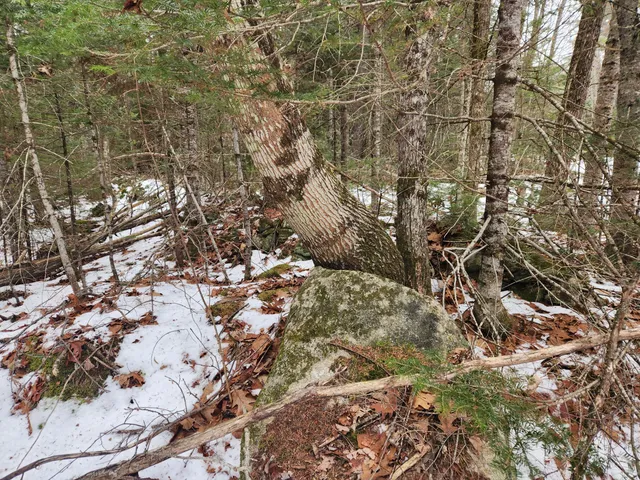 $35,000 | 13 Back Bryant Road, Buckfield, ME 04220