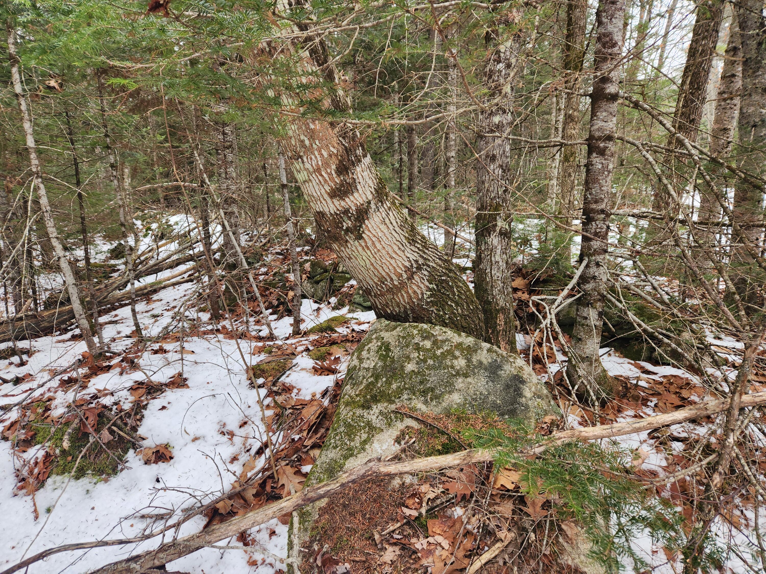 18 Back Bryant Road Buckfield, ME 04220 - Photo 15 of 19 20251223_105640